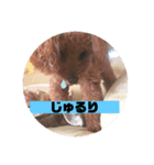 mocoの1日 その5（個別スタンプ：2）