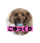 mocoの1日 その5（個別スタンプ：3）