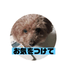 mocoの1日 その5（個別スタンプ：7）