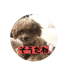 mocoの1日 その5（個別スタンプ：8）