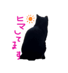 黒猫ランさん（個別スタンプ：6）