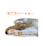 トラチワちゃん♡♡♡♡（個別スタンプ：5）