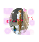 トラチワちゃん♡♡♡♡（個別スタンプ：8）