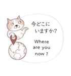 英語と日本語の観光客会話 #1（個別スタンプ：7）