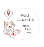 英語と日本語の観光客会話 #1（個別スタンプ：17）