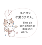 英語と日本語の観光客会話 #1（個別スタンプ：37）