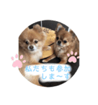 ふぅ、永遠3（個別スタンプ：2）