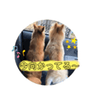 ふぅ、永遠3（個別スタンプ：6）