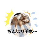 ふぅ、永遠3（個別スタンプ：7）