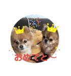 ふぅ、永遠3（個別スタンプ：8）