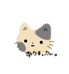 いろんな、ねこ。（個別スタンプ：14）