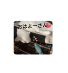 chez山本（個別スタンプ：6）