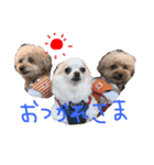 モコ＆レイだよ（個別スタンプ：3）