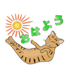 Tabby Milktea Cat (日本語)（個別スタンプ：2）