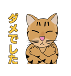 Tabby Milktea Cat (日本語)（個別スタンプ：10）