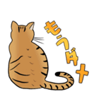 Tabby Milktea Cat (日本語)（個別スタンプ：13）