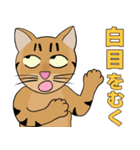 Tabby Milktea Cat (日本語)（個別スタンプ：21）