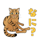 Tabby Milktea Cat (日本語)（個別スタンプ：23）