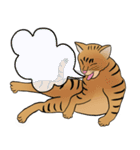 Tabby Milktea Cat (日本語)（個別スタンプ：24）