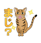 Tabby Milktea Cat (日本語)（個別スタンプ：25）