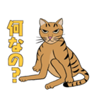 Tabby Milktea Cat (日本語)（個別スタンプ：28）