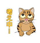 Tabby Milktea Cat (日本語)（個別スタンプ：30）