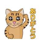 Tabby Milktea Cat (日本語)（個別スタンプ：35）