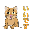 Tabby Milktea Cat (日本語)（個別スタンプ：37）