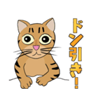 Tabby Milktea Cat (日本語)（個別スタンプ：38）