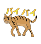 Tabby Milktea Cat (日本語)（個別スタンプ：39）