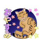 Tabby Milktea Cat (日本語)（個別スタンプ：40）