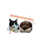 うちのちぼ❤️（個別スタンプ：7）