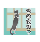 Omo 猫の星 2（個別スタンプ：12）