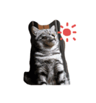我が家の動物達aki家mia家（個別スタンプ：2）