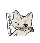 にゃんとかなるスタンプ（個別スタンプ：2）