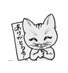 にゃんとかなるスタンプ（個別スタンプ：6）