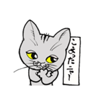 にゃんとかなるスタンプ（個別スタンプ：7）