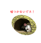 トラチワちゃん♡♡♡♡♡（個別スタンプ：2）