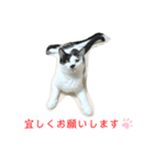 トラチワちゃん♡♡♡♡♡（個別スタンプ：5）