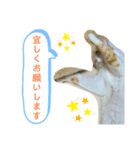 トラチワちゃん♡♡♡♡♡（個別スタンプ：7）