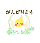 やさしいインコちゃんず【敬語2】（個別スタンプ：38）