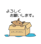 きょむどうぶつ（個別スタンプ：5）