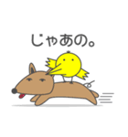 きょむどうぶつ（個別スタンプ：11）