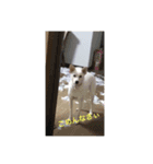 ペーターくんのまいにち（個別スタンプ：3）