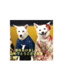 ペーターくんのまいにち（個別スタンプ：4）