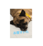 ペーターくんのまいにち（個別スタンプ：6）