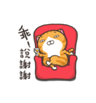 動く！ランラン猫 (台湾版)（個別スタンプ：13）