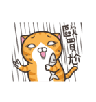 動く！ランラン猫 (台湾版)（個別スタンプ：14）