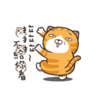 動く！ランラン猫 (台湾版)（個別スタンプ：19）