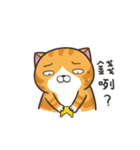 動く！ランラン猫 (台湾版)（個別スタンプ：23）